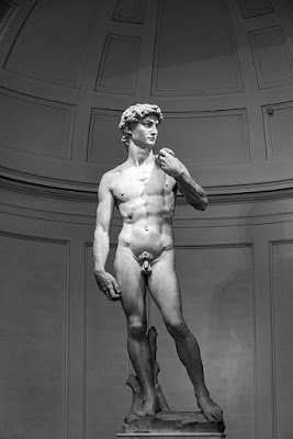 Poeme d'amour :  Michel-Ange a dit que David était déjà dans le bloc de marbre avant qu'il ait commencé à sculpter. 