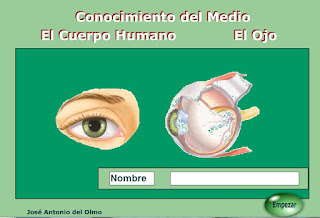  El ojo