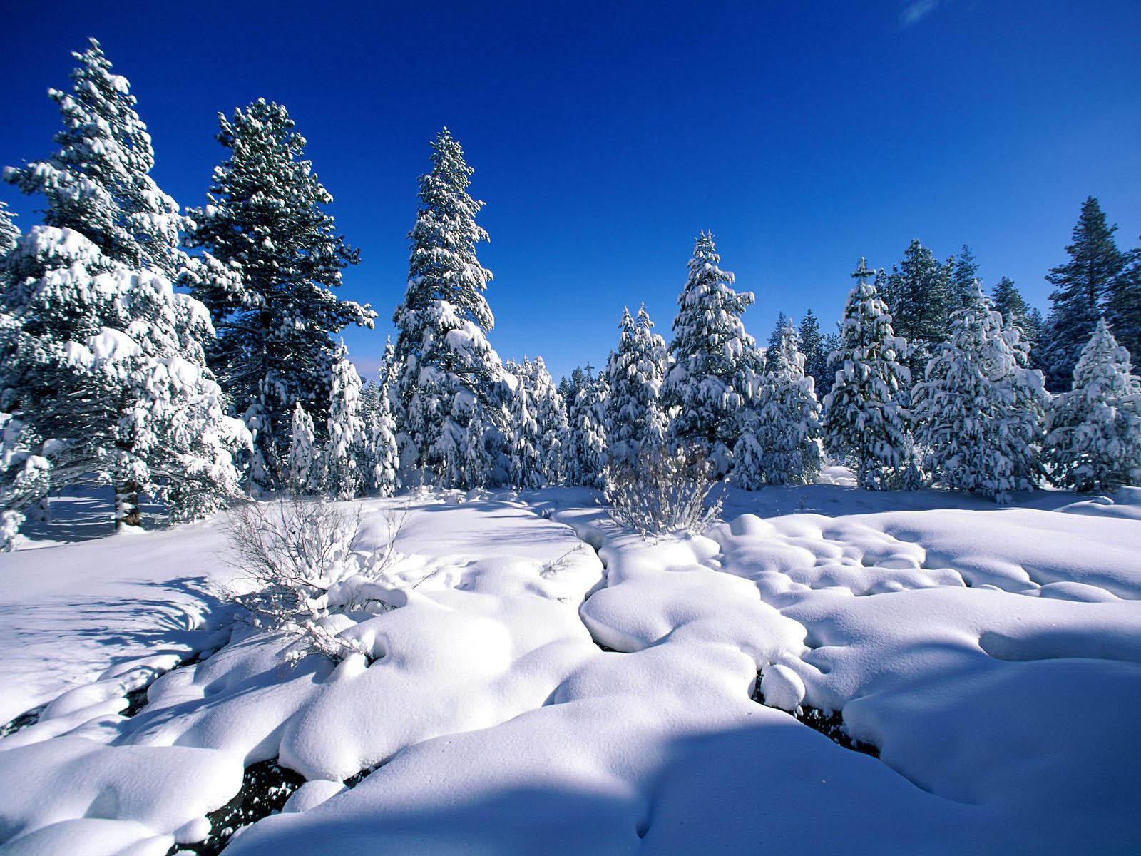 wallpapers: Snow Wallpapers