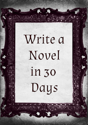 nanowrimo writing a book 