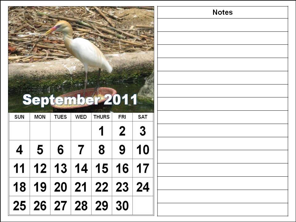 Printable September 2011 Calendar with big fonts and notes spaces