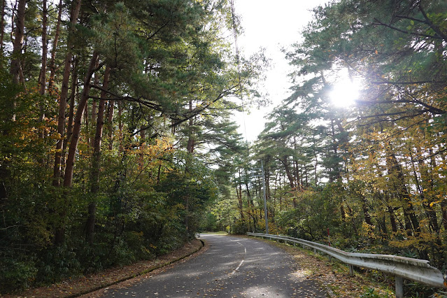 鳥取県西伯郡伯耆町丸山　ロイヤルシティ大山　赤松の森