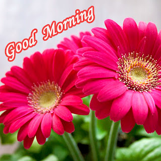 good morning wallpaper for lover, latest images of good morning, good morning images download, gd morning, good morning images in love, gd mrng love image, pic of good morning, good morning photo for lover, good morning hug images, good morning wallpapers, morning images of love, good morning love images for whatsapp, good morning images for whatsapp