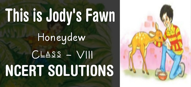 This is Jody's Fawn class 8 NCERT Solutions