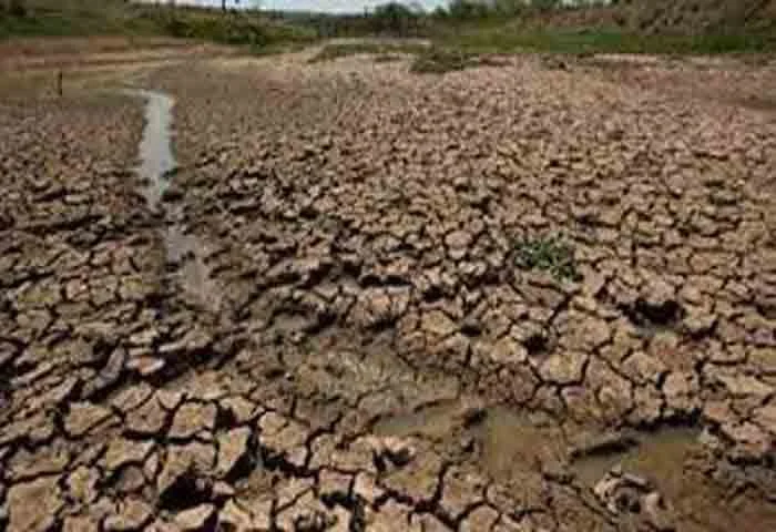 News, Kerala, Kerala-News, Weather, Kerala News, Weather News, Rain, Drought, Report, 8 Districts, Kerala inching towards drought with deficit rainfall; 8 Districts situations very serious says report.