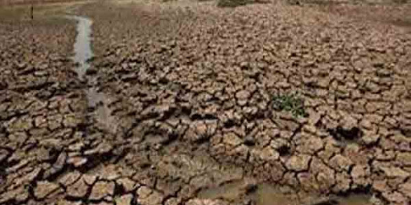 Drought Warning | മഴമേഘങ്ങള്‍ ചതിക്കുന്നു, കേരളത്തെ കാത്തുനില്‍ക്കുന്നത് കൊടും വരള്‍ച, 8 ജില്ലകളില്‍ സ്ഥിതി അതീവഗുരുതരമെന്ന് റിപോര്‍ട്