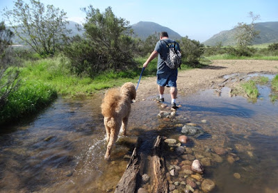 Mission Trails - Worth Multiple Trips