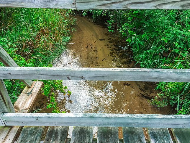 Ice Age Trail Wedde Creek Segment