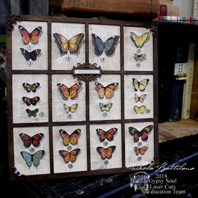 Butterfly Specimen Tray - Nichola Battilana for gslcuts.com