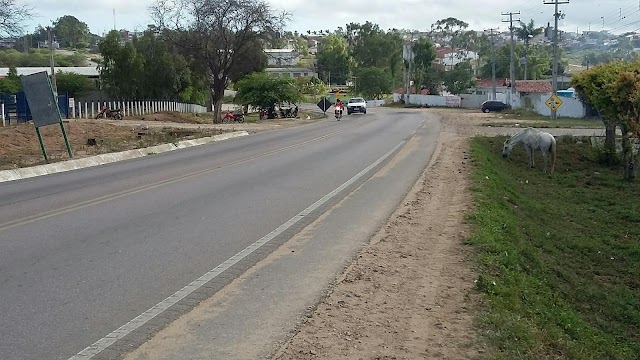 COLISÃO DE MOTO COM ANIMAL SOLTO NA PE-218 DEIXA DOIS FERIDOS. UM COM TRAUMATISMO CRANIANO