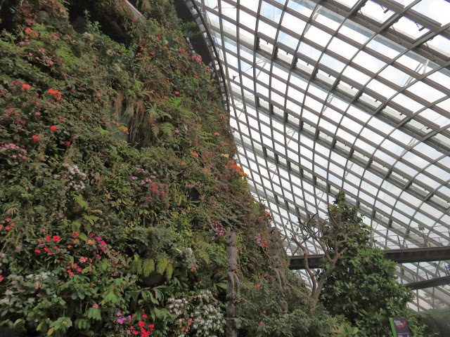 Gardens by the bay cloud forest