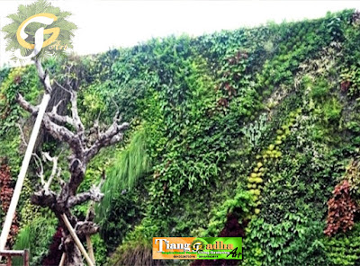 Tukang Taman Surabaya || Desain Taman Surabaya || vertical garden || taman vertical