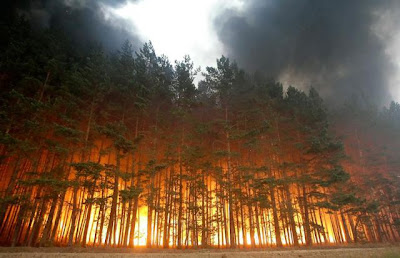 Forest Fire - Dolginino, Russia (Aug. 2010)