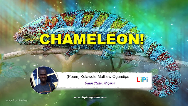 Chameleon! by Kolawole Mathew Ogundipe