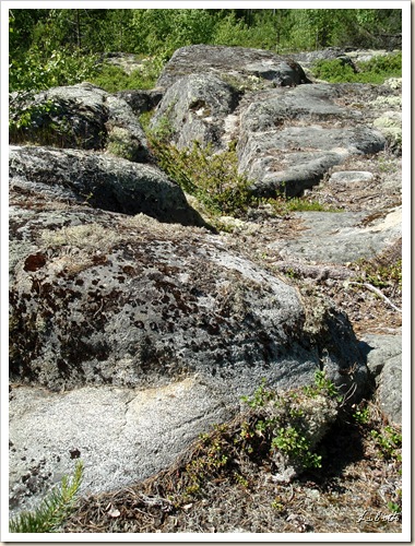 P6270386