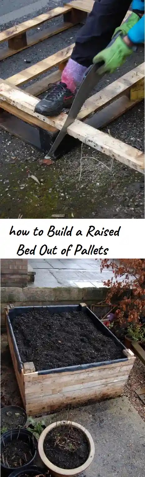 pallets garden pallet raised bed wood build beds step