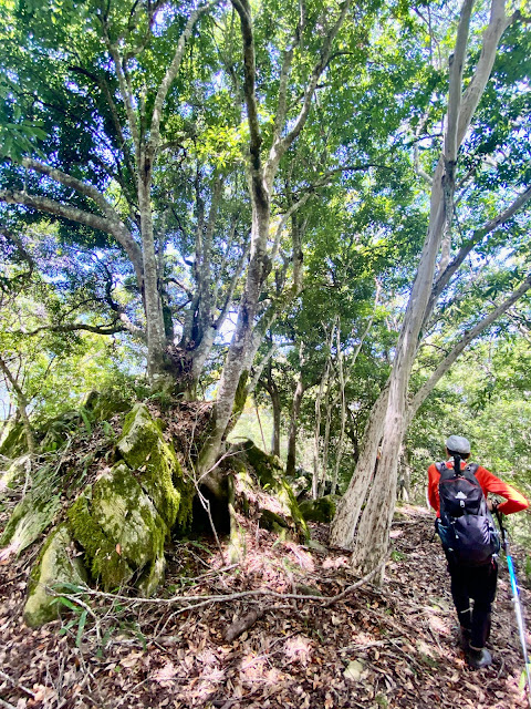 往綠水文山方向下山