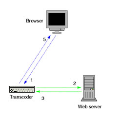 Web Server, Web Host, Web Hosting, Compare Web Hosting, Web Hosting Reviews