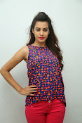 diksha panth sizzling photo shoot-thumbnail-20