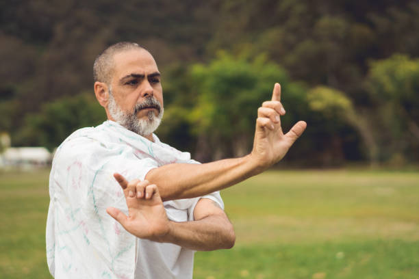 Tai chi nedir, Çin dövüş sanatları tai chi