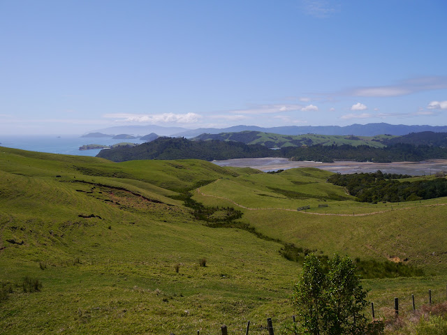 Nouvelle-Zélande panorama Coromandel