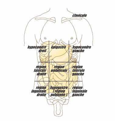 abdominales douleurs localisation région infirmier