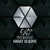 [Single] EXO-M - What Is Love (Chinese Ver.)