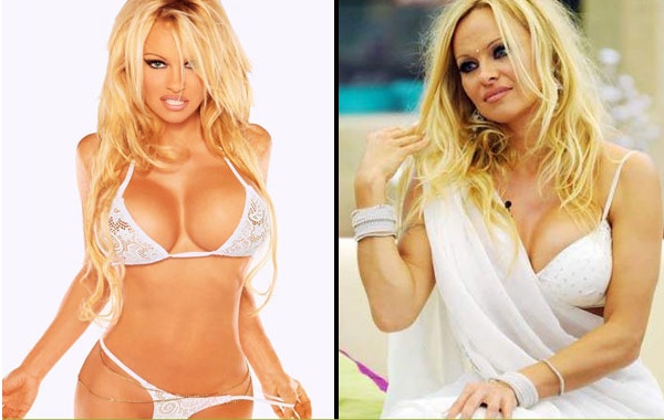 Pamela Anderson Bigg Boss Saree Pictures