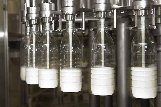 Primeira indústria de leite de caixa vai gerar 5 mil empregos no Norte do Piauí