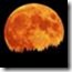 clip_image020