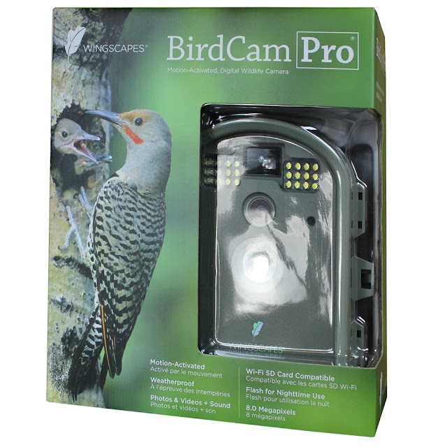 Camera Bird