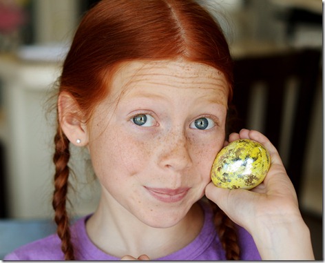 Egg Dy3e