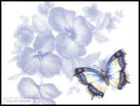 Blue Butterfly ecg