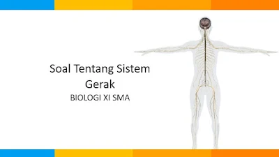 Soal Biologi Tentang Sistem Gerak Kelas XI SMA Beserta Pembahasannya Lengkap