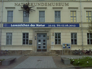 naturkundemuseum leipzig