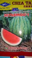 jual benih, semangka tanpa biji, bibit semangka, harga murah, toko pertanian, online, lmga agro