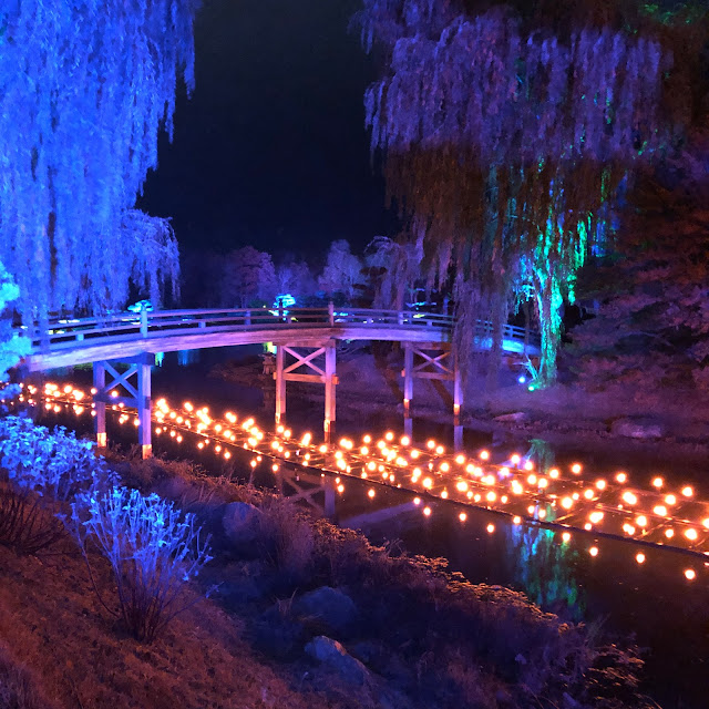 Fire dances along the water under a graceful footbridge during 2021's Lightscape at Chicago Botanic Garden.
