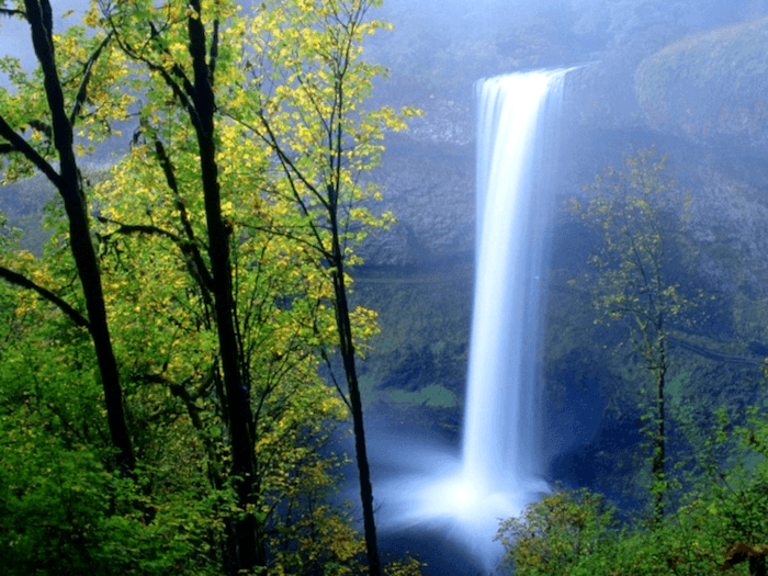 Silver Falls State Park