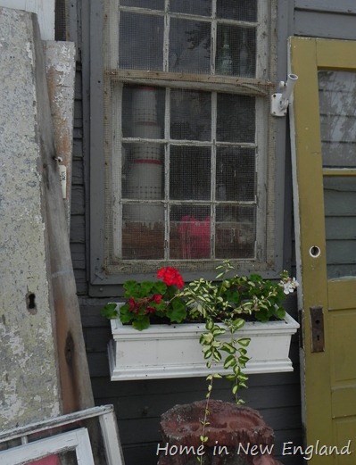 DSCN1886