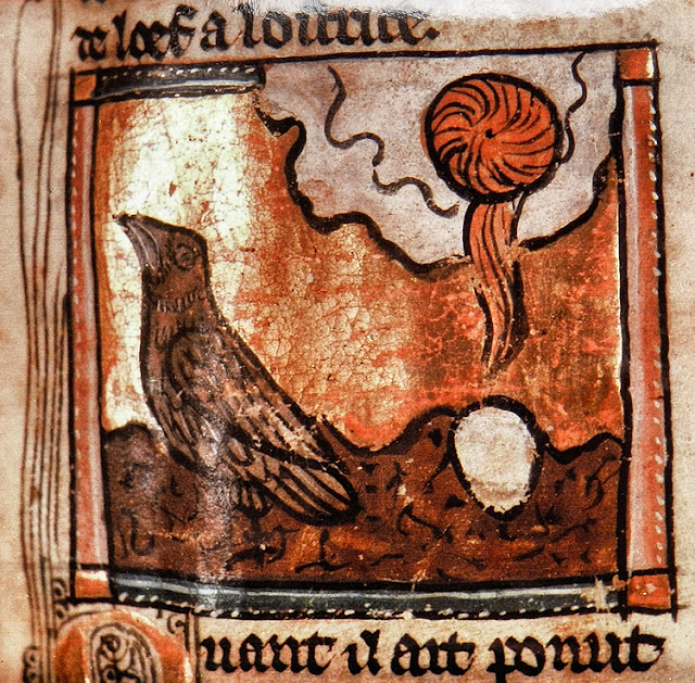 Bestiaire d'Amour MS Douce 308 : les enluminures 