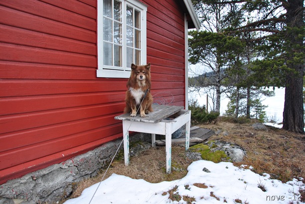 østmark 023