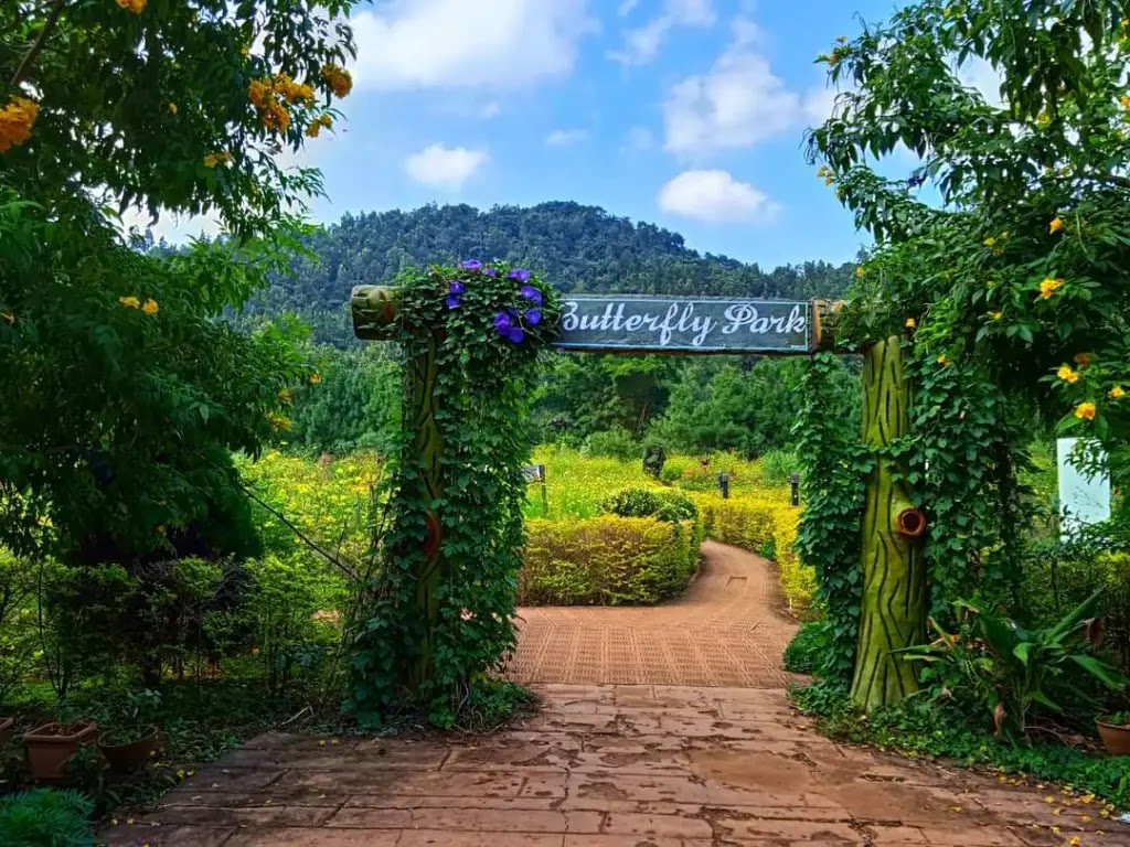 Nature’s Park also called Butterfly Park Daringbadi