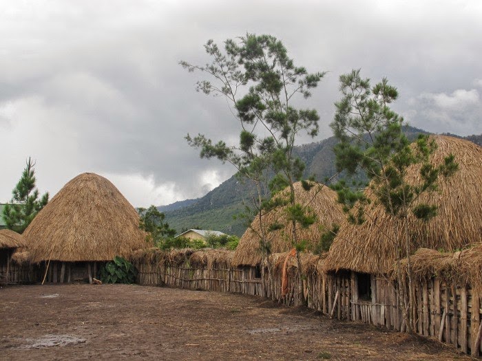 Rumah Adat Honai Papua  Greenbirepapua
