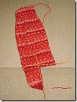 sock_progress_jan5