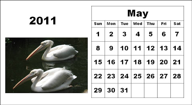calendars 2011 may. calendar 2011 may.
