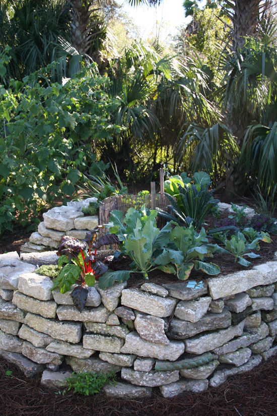 The Rainforest Garden: 7 Garden DIY Ideas from the Jacksonville ...