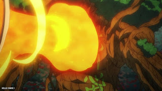 ワンピース アニメ 1082話 ONE PIECE Episode 1082