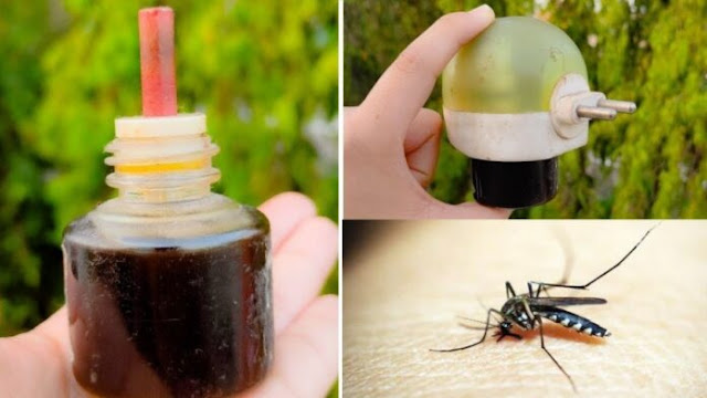 सिर्फ 60 रुपए में 2 साल तक मच्छरों से छुटकारा, इन 2 चीजों से घर बैठे बनाएं मच्‍छर भगाने का रिफिल