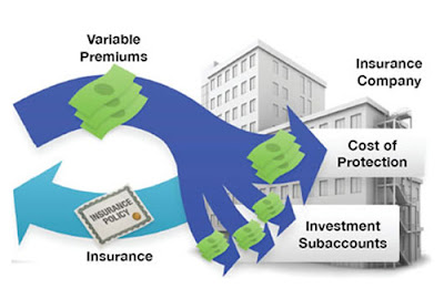 Should-You-Buy-Varying-Worldwide-Life-Insurance-plan-?