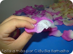 festa_jardim 020